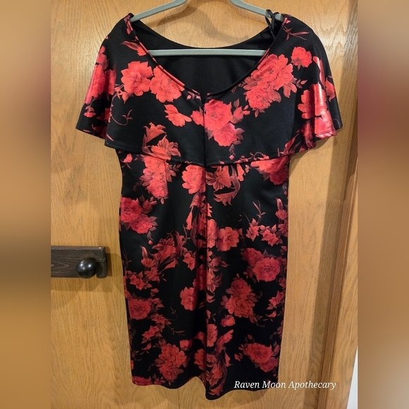 Floral Black and Red Dress - Picture 2 of 11